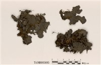 藏品(貓耳衣屬)的圖片